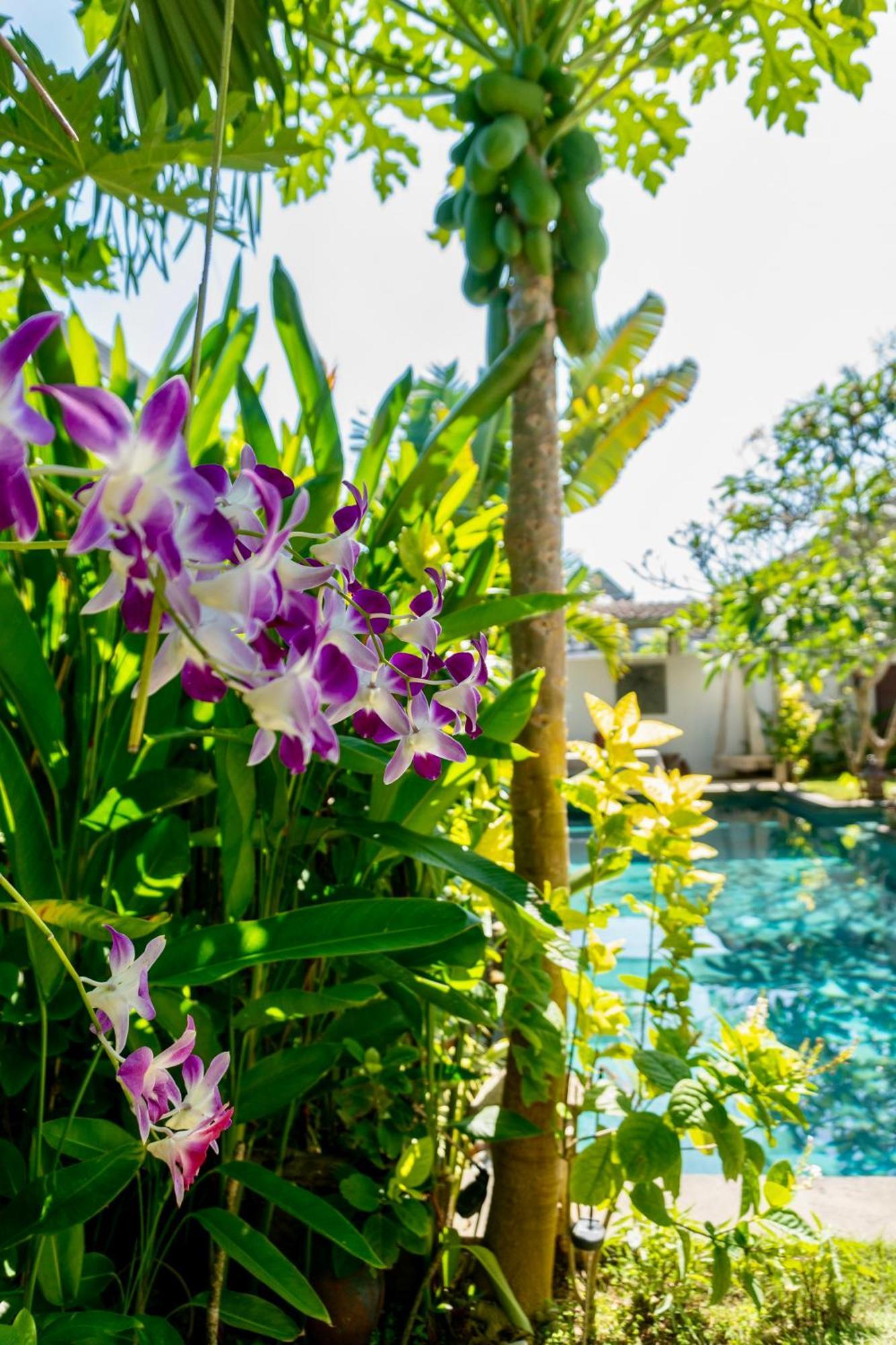 Damai Uluwatu Hotel Luaran gambar
